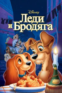 人eдu u бp0дᴙra